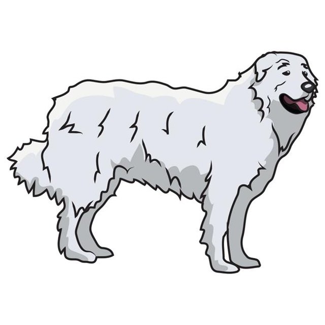 SignMission D-12-Great Pyrenees 12 in. Great Pyrenees Decal - Dog Lover Super Cute Sticker