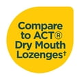 thumbnail image 4 of (2 pack) Equate Sugar-Free Dry Mouth Relief Lozenges, Peppermint, 2.5 oz, 36 Count, 4 of 13