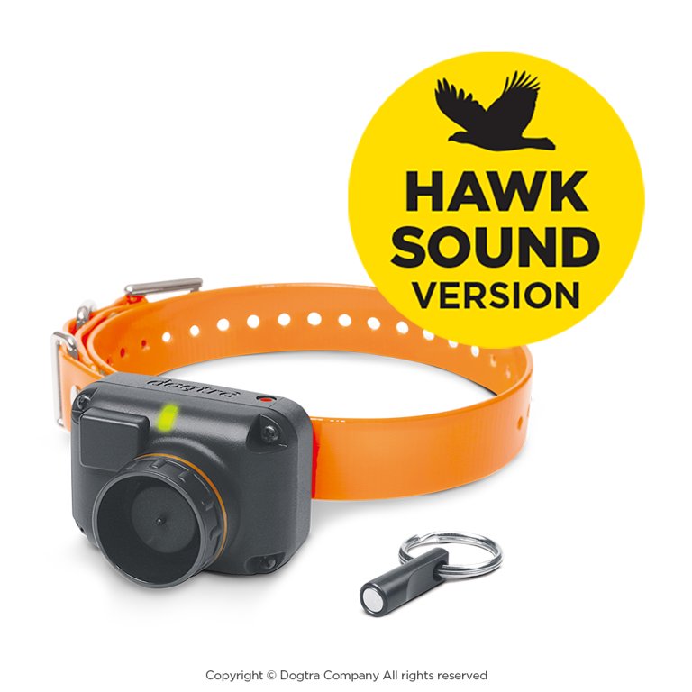 Dogtra sales stb hawk