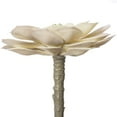 thumbnail image 4 of Vickerman 5" Artificial Succulent Pick, Set of 4, 4 of 7