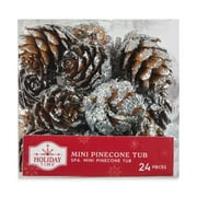 Holiday Time Silver Pinecones, 4.6 inch, 24 Count