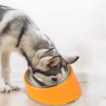 thumbnail image 4 of Raised Cat Food Bowls Tilted Stainless Steel Cat Dog Bowl Small Single Slanted Puppy Food Bowl Multicolor Non Slip Elevated Pet Feeder Anti Vomit Cat Dishes for Kitten Puppy Pet - orange, 4 of 5