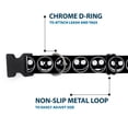 thumbnail image 5 of Disney Pet Collar, Dog Collar Plastic Buckle, The Nightmare Before Christmas Jack Expressions Black White, 11 to 16.5 Inches 1.0 Inch Wide, 5 of 8
