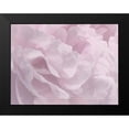 thumbnail image 2 of Pollard, David 18x15 Black Modern Framed Museum Art Print Titled - Peony Pink III, 2 of 5