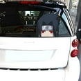 thumbnail image 2 of Funny Uchiha Sasuke Sticker Luggage Window Bumper Decal 5.5", 2 of 3