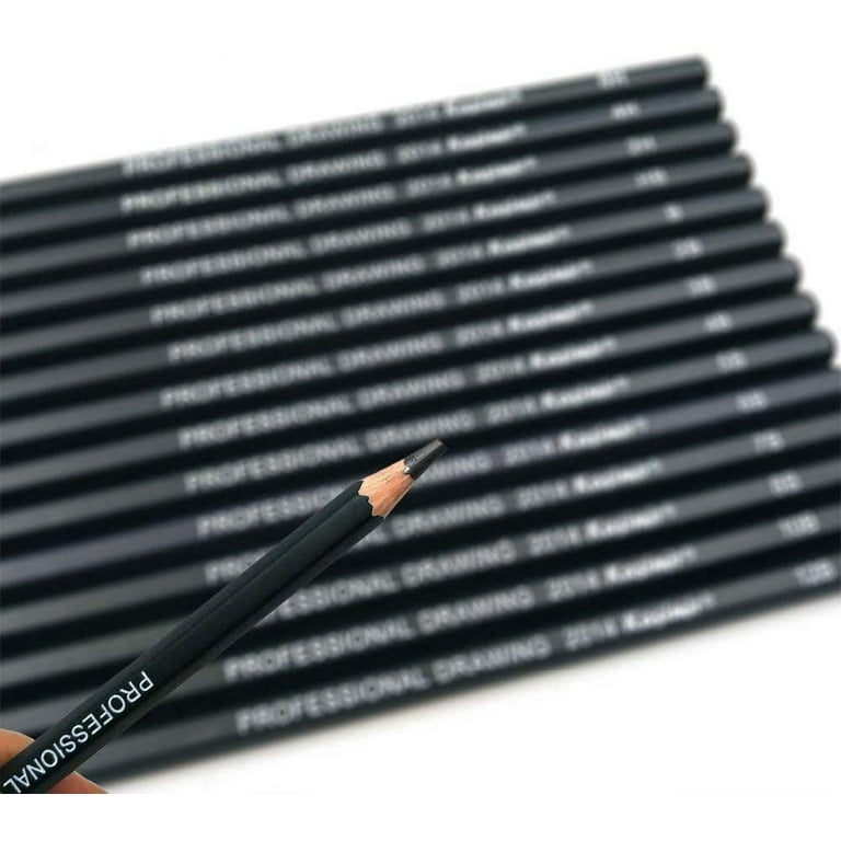 14pcs/set Graphite Sketching Pencils Professional Pencil Set for Drawing  (12B 10B 8B 7B 6B 5B 4B 3B 2B B HB 2H 4H 6H )