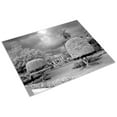 thumbnail image 3 of Print: Necropolis De Colon, Havana, Cuba, 2010, 3 of 4