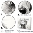 thumbnail image 3 of Designart "Poodle'S Pizzazz" Animals Dog Wall Art Living Room, 3 of 7