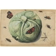 thumbnail image 2 of Anonymous 14x11 Black Ornate Wood Framed Double Matted Museum Art Print Titled: Head of Cabbage with Insects (Early 17th Century), 2 of 5