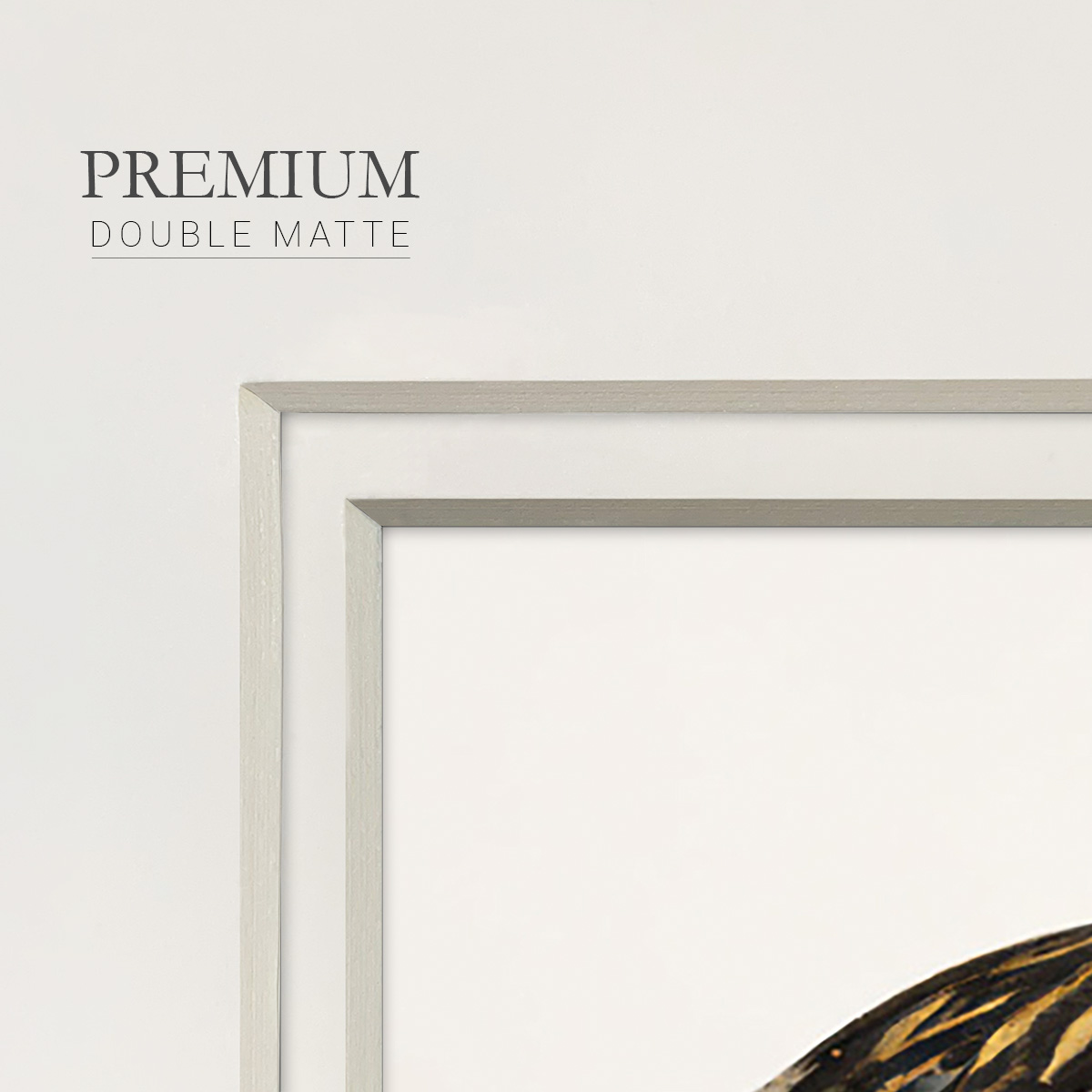 Golden MallardPremium Framed Print