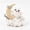 C, variant on YingYouFu Halloween Cloud Ghost Decor, Glowing Polyester Hanging Ornament, Spooky Light Up Decoration for Party Home Wall Window Holiday Season