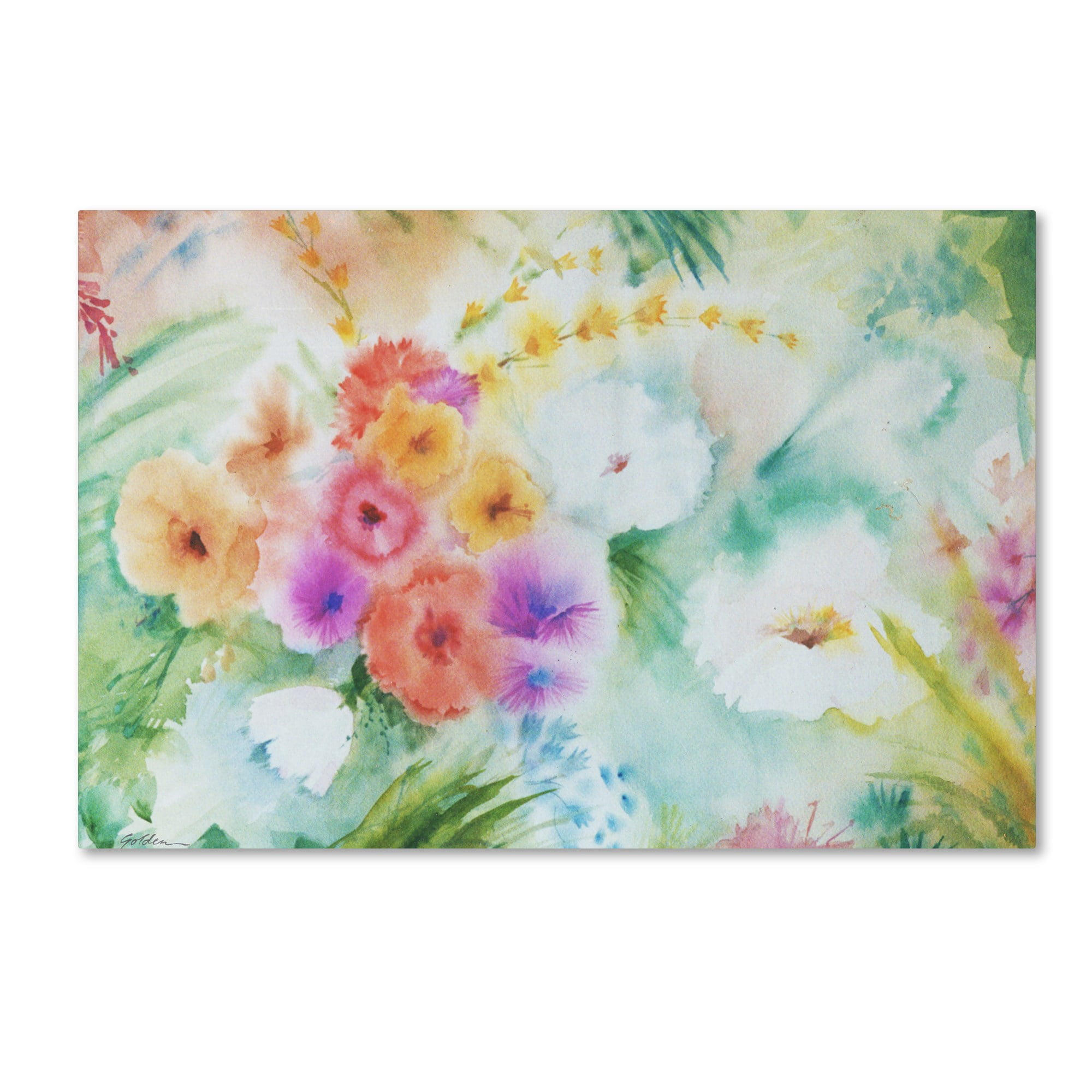 Trademark Fine Art "Napa Garden" Canvas Art by Sheila Golden