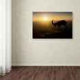 thumbnail image 3 of Trademark Fine Art 'Desert Wanderer' Canvas Art by Nadav Jonas, 3 of 3