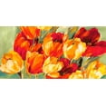 thumbnail image 2 of Stone, Jim 18x11 Black Ornate Wood Framed with Double Matting Museum Art Print Titled - Field of Tulips, 2 of 4