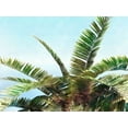 thumbnail image 2 of Saunders, Alonzo 18x15 White Modern Wood Framed Museum Art Print Titled - Pleasant Palms I, 2 of 4
