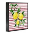 thumbnail image 3 of Stupell Industries Juicy Lemon Vine on Pink Black Framed Giclee Art design by Paul Brent, 17 x 17, 3 of 8