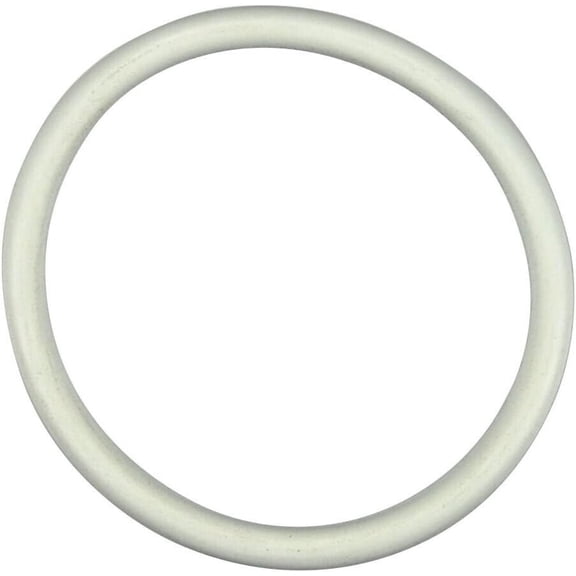 Pentair Triton C Bulkhead O-Ring White