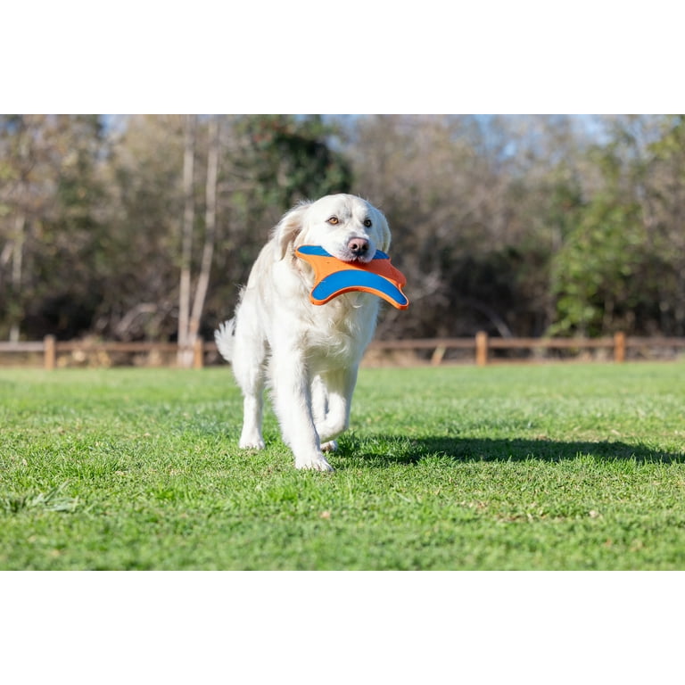 Chuckit! Ultra Flight Frisbee Per Cani - Robusto E Per Lanci Lunghi | Gioco Per Cani Attivi - Foto 6