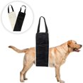 thumbnail image 5 of Correa para perros: soporte para patas traseras para perros grandes, para perros discapacitados, con asistencia para perros, 5 of 5