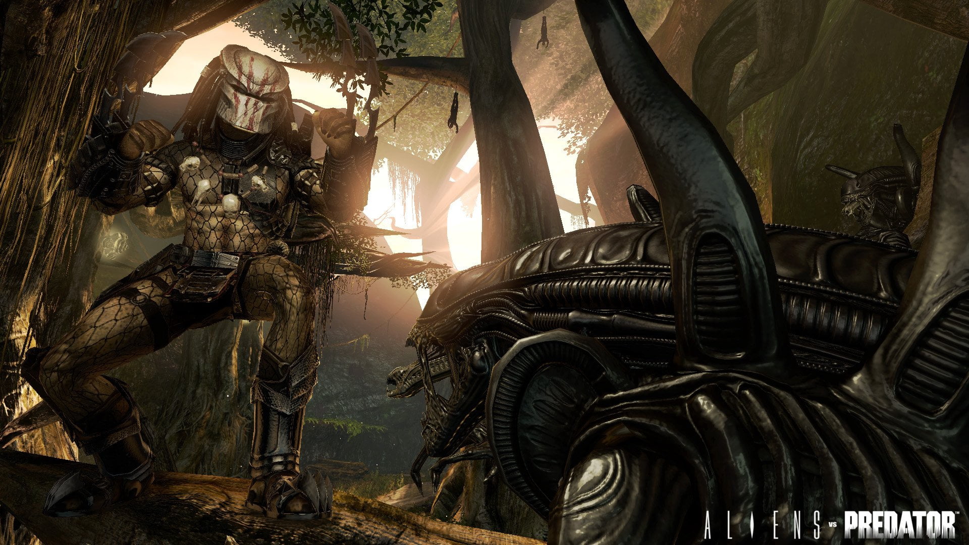 Alien Vs Predator (PC)
