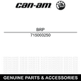 thumbnail image 2 of Can-Am 715003250 Heated Grips & Thumb Throttle Combo Outlander Renegade 500 570 650 850, 2 of 4