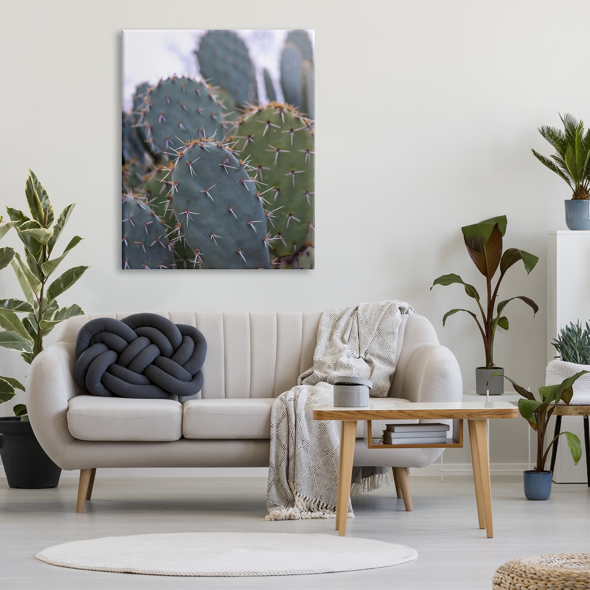 Stupell Industries Prickly Cactus Thorns Close Up Photography Desert Vegetation Photograph Gallery Wrapped Canvas Print Wall Art, Design by Jeff Poe Photography