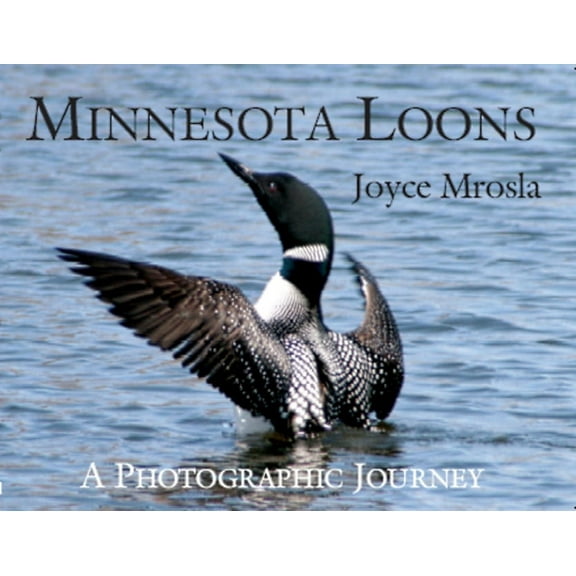 Minnesota Loons (Paperback)