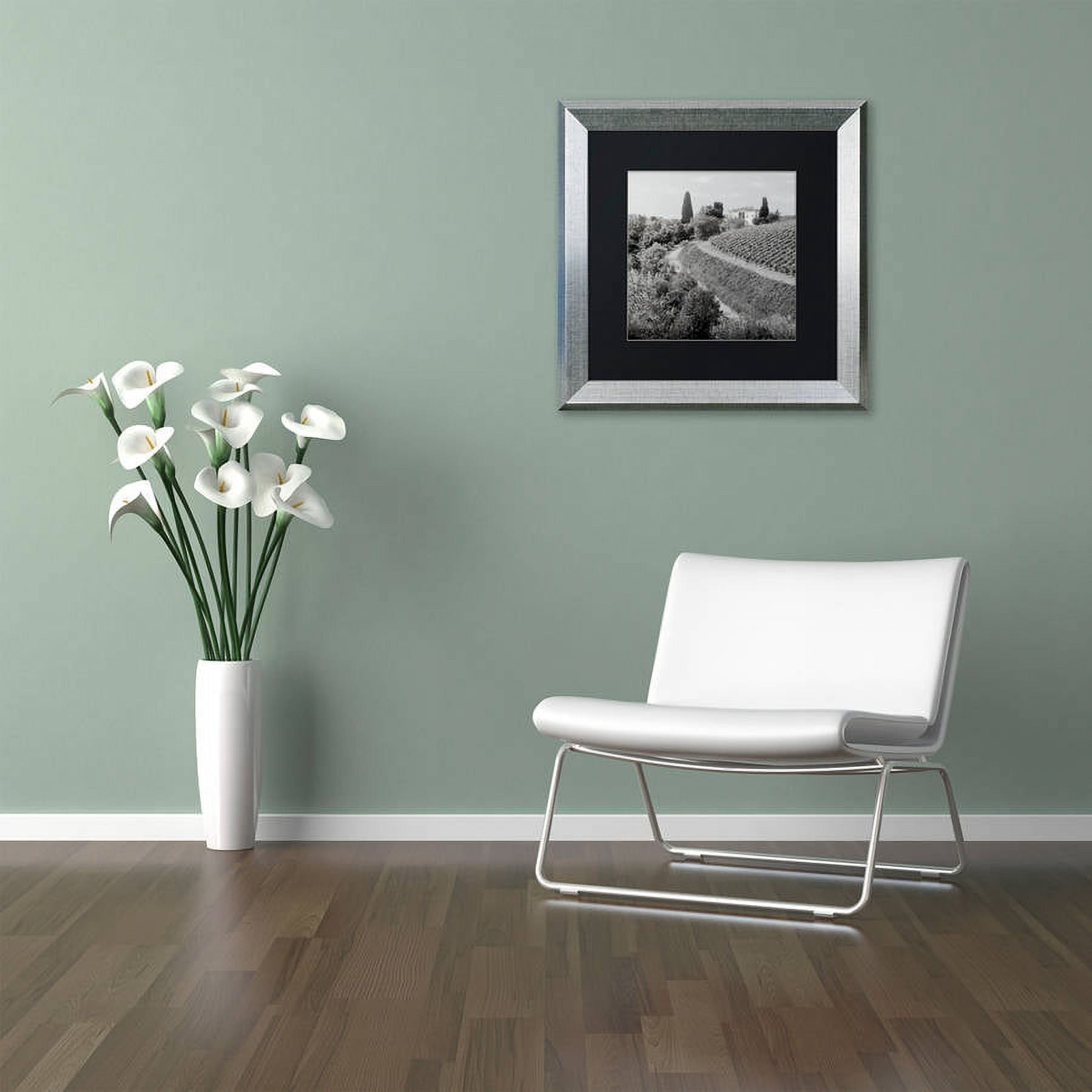 Trademark Fine Art "Tuscany V" Canvas Art by Alan Blaustein, Black Matte, Silver Frame