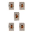 thumbnail image 1 of Billuyoard Espécimen de insecto Real resistente y duradero con escorpión transparente, araña, avispa, escarabajo, uña de hoja roja Type2 NO2, 1 of 6