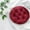 Red, variant on OAVQHLG3B Round Bar Stool Cushion, Indoor Outdoor Chair Cushions Soft Dining Kitchen Chair Seat Pad,19.7" Round Floor Seating Cushion Comfy Car Seat Cushion
