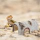 thumbnail image 5 of 1pc reptiles escondido house tortuga lizard escape cueva resina caseta refugio, 5 of 6