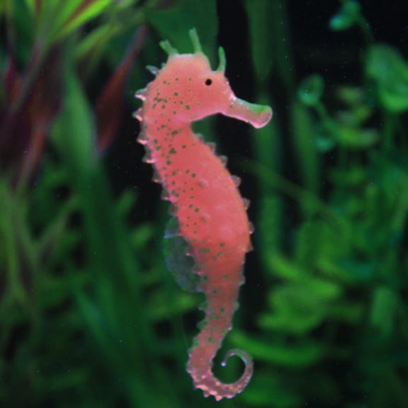 Clearance YOHOME Aquarium Fish Tank Landscaping Decor Glowing Effect Animal Sea Horse Ornament Pink