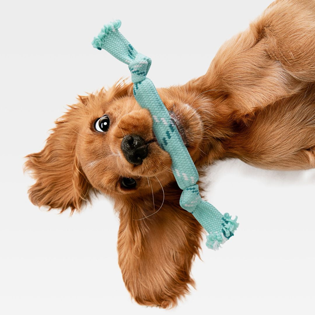 rocket & rex Dog Rope Tug Set for Small to Medium Breeds, Includes Ropes with a Tennis Ball, Natural Rubber Lining & Crackle Lining, Reduces Destructive Chewing & Anxiety (Pack of 3)