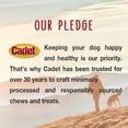 thumbnail image 5 of Cadet Gourmet Beef Rib Bone Dog Treats, Natural Dog Bones for Small & Large Dogs, 8.5 Ounce, 3 Count, 5 of 7