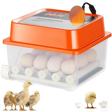 Easter Egg Incubator 18 Egg , Chicken Egg Incubator With Automatic Egg Turning & Humidity Control, 360° Viewing, Egg Candler, For Home, Farm, Classroom, Hatching Duck, Quail, Turkey, Goose Incubators For Hatching Eggs