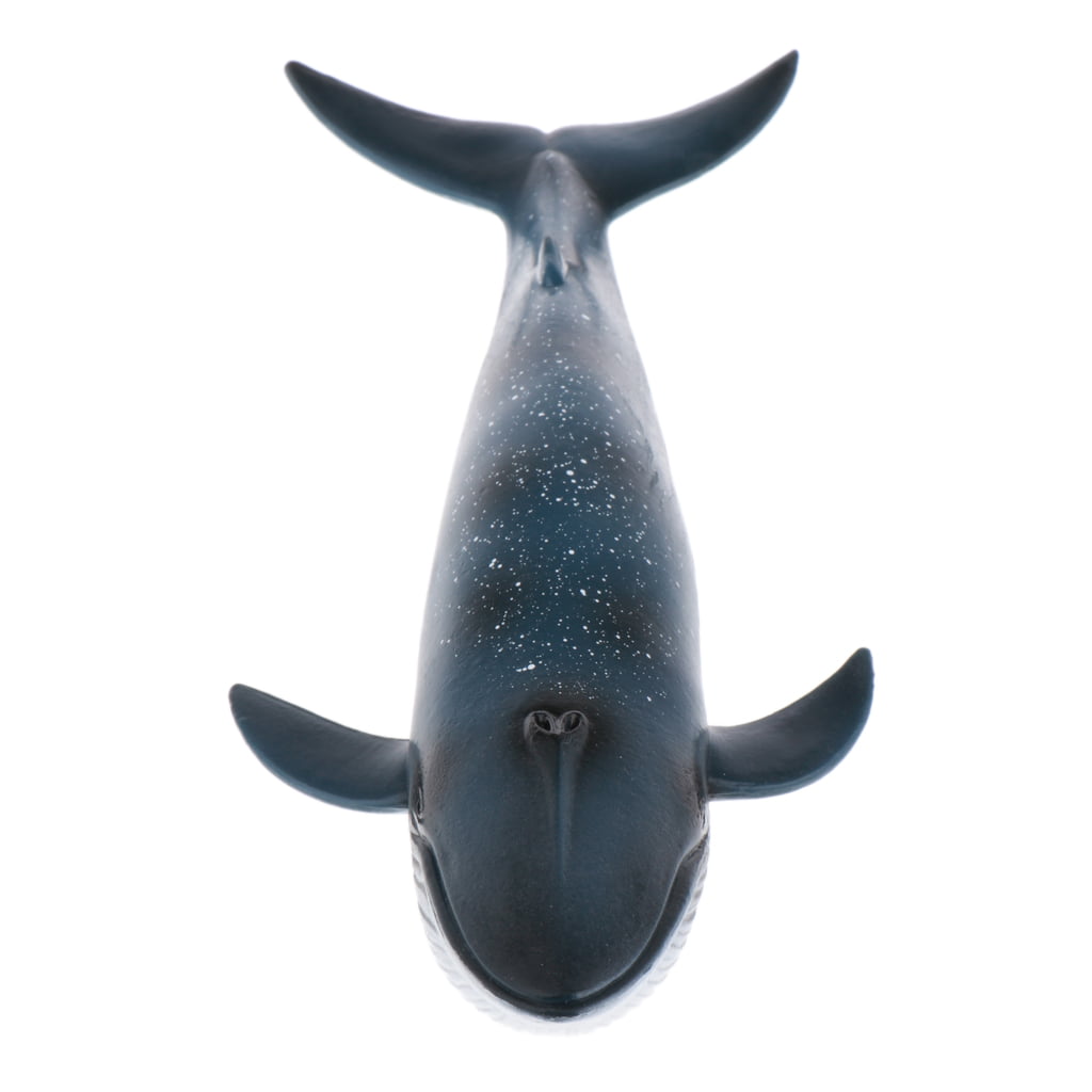Floz blue whale 10 inches baleen whales Sea animal marine life figure model 