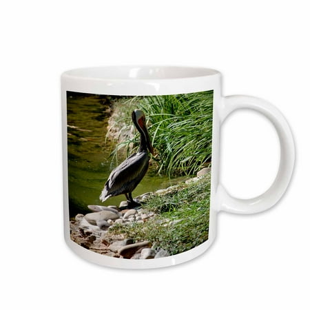 

3dRose Pelican Ceramic Mug 15-ounce