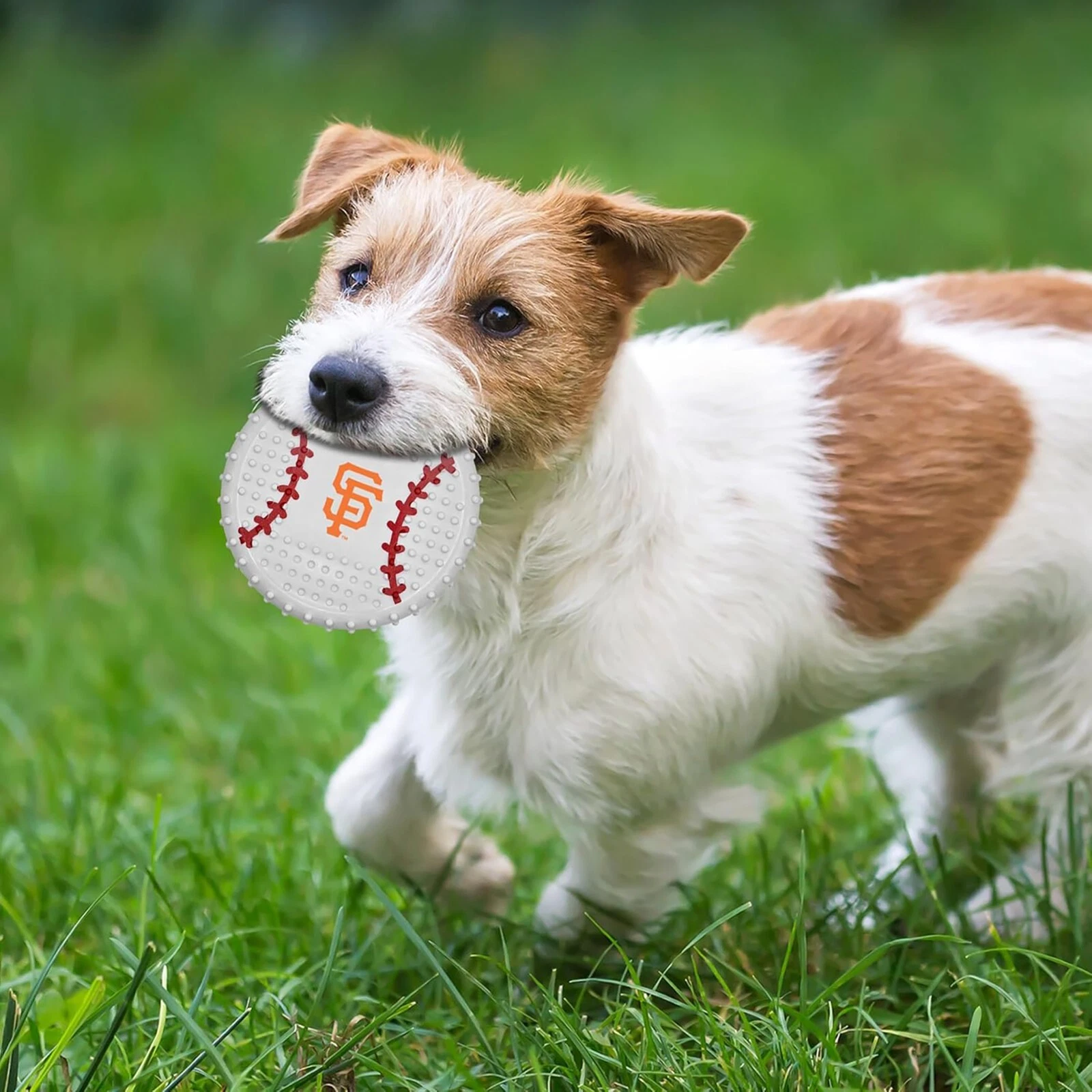 Pets First MLB Hard-Nylon Baseball Flavored Dog Chew Toys for Aggressive Chewers