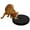 black, variant on Dog Scratch Pad for Nails Non-Slip Dog Scratch Board with 6 Snack Compartments Rotating Dog Nail Scratch Board Removable Scratching Scratchboard Scratchpad Sandpaper for Dog Pet