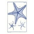 thumbnail image 2 of Vision Studio 22x32 Black Ornate Wood Framed with Double Matting Museum Art Print Titled - Blue Sea Stars VII, 2 of 4