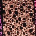 thumbnail image 1 of Sparkling Spider Webs Shiny Brown Glittering Craft Ribbon 3.8cm x 54 Yards, 1 of 2