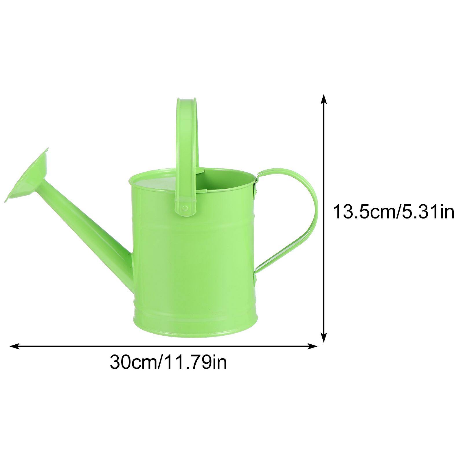 NUOLUX Metal Watering Can for Indoor and Outdoor Plants, Small Garden Flower Pot Sprayer with Spout, Decorative and