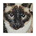 thumbnail image 2 of "Siamese Pointillist Dream" - Canvas, 2 of 25