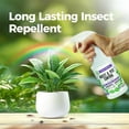 thumbnail image 2 of Peppermint Oil Insect & Pest Control Spray – 16oz Natural Plant-Based Bug Killer for Spiders, Ants, Flies, and Other Insects, Safe for Home & Kitchen Use, 2 of 3