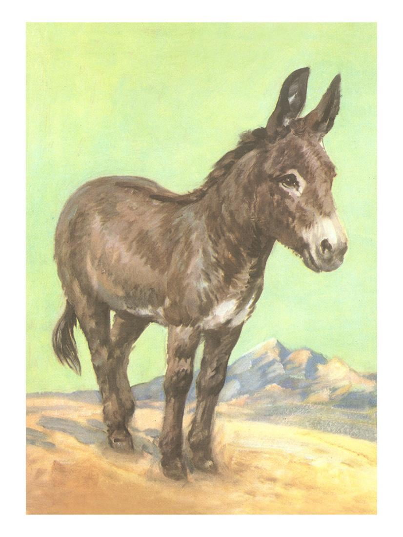 Donkey Print Wall Art