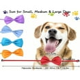 thumbnail image 4 of SNNROO 1 Pce Nœud Papillon Ajustable Couleur Unie pour Chien Chat, 4 of 6