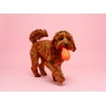 thumbnail image 4 of Hartz Dura Play Rocket Dog Toy, Medium, Latex, Color May Vary, 4 of 9