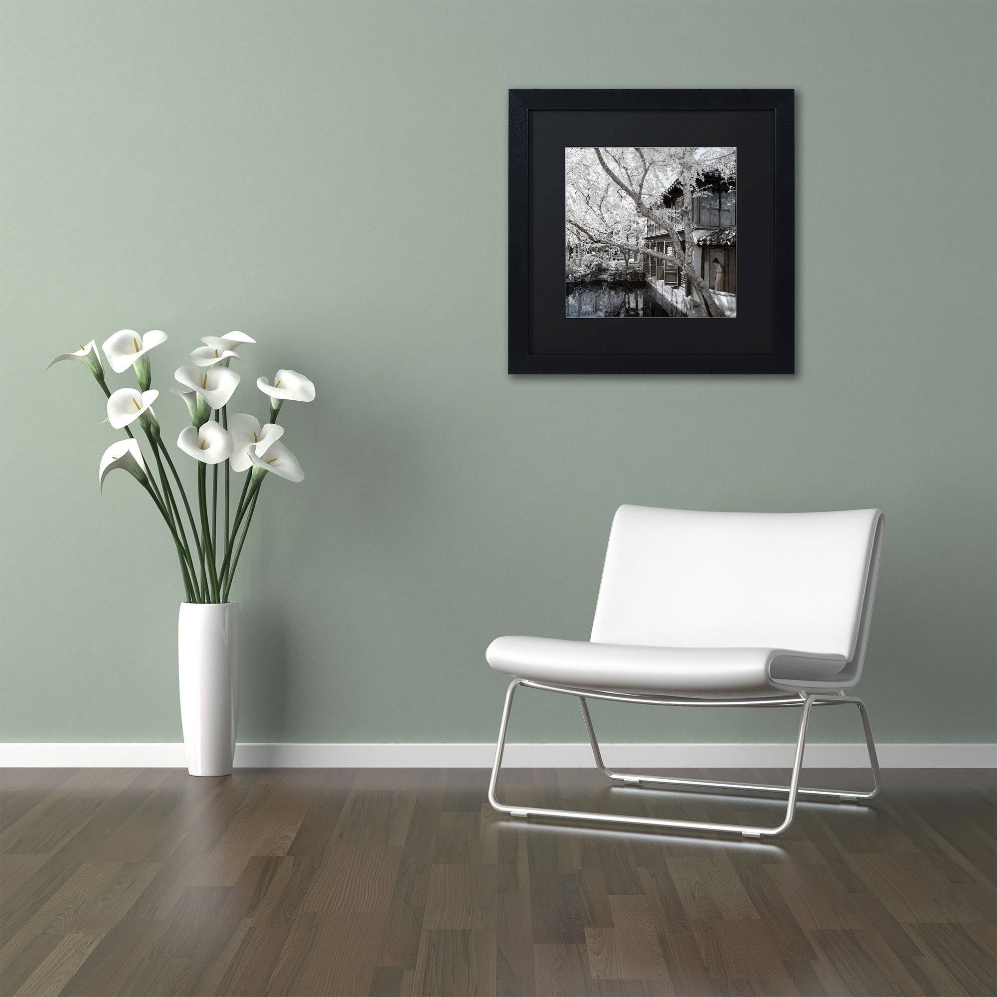 Trademark Fine Art "Reflections" Canvas Art by Philippe Hugonnard, Black Matte, Black Frame