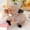 A113 kid toys under 5$, variant on Usloyux Kids Toys Under $5 Plush Toys,Animal Plush Toys for Kids,Baby Appease Toy,Cute Animal Plush Stuffed Toy for Kids Christmas,Birthday,Holiday Party Gifts