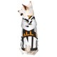 thumbnail image 1 of Balery Not All Who Wander Are Lost4 Sudadera con Capucha para Perros Pequeños – Ropa para Mascotas, Disfraz para Perros y Gatos, Ideal para Fiestas y Cosplay-Medium, 1 of 7
